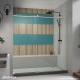 Enigma-X Premium Sliding Shower Door
