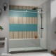 Enigma-X Premium Sliding Shower Door